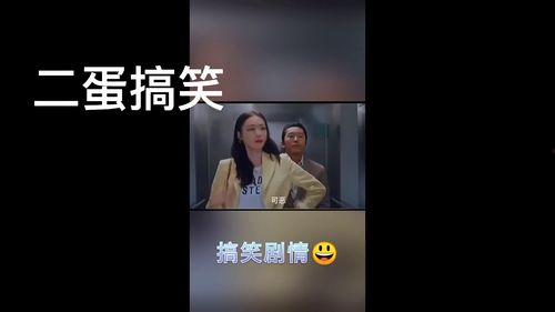 二蛋最新爆料视频,揭秘幕后真相，带你走进事件核心